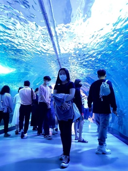 청소년 스스로캠프 \'제주완전정복\' 여행