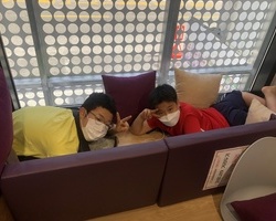 [1번지] 숨바꼭질 하고 있어요! :)