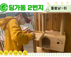 [딩가동2번지] 길고양이 돌봄냥이