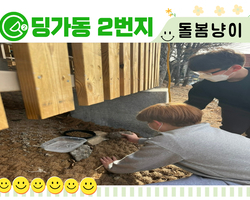 [딩가동2번지] 길고양이 돌봄냥이 열심히 진행중!  