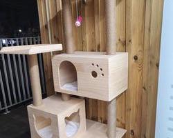 [딩가동2번지] 길고양이 돌봄냥 