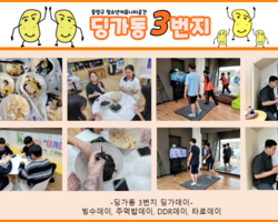 [3번지] 7월 딩가데이
