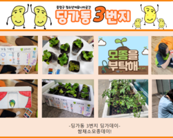[딩가동3번지] 딩가데이-쌈채소모종데이