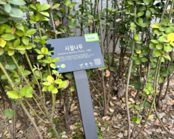 [5번지] 자음모음보물찾기1