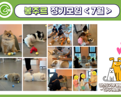 [2번지] 길고양이 돌봄 동아리 '봉주르' 정기모임