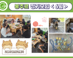 [2번지] 길고양이 돌봄 동아리 '봉주르' 정기모임