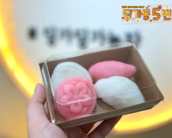 [5번지] 딩5데이 쫀떡데이