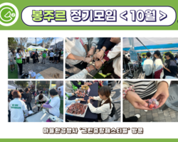 [2번지] 길고양이 돌봄 동아리 '봉주르' 정기모임