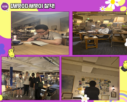 [새뜻이] 새뜻이 찰칵!