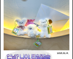 [5번지] 2025년 2월 DDLP 안녕? 나야, 타임