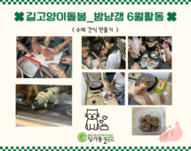 [2번지] 길고양이 돌봄 동아리 6월 정기모임