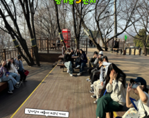[5번지] 3월 DDLP 봄날의 피크닉