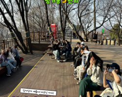[5번지] 3월 DDLP 봄날의 피크닉