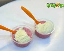 [5번지] 딩5데이 스스데이