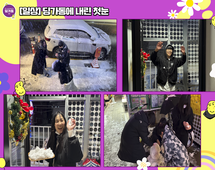 [일상]딩가동에 내린 첫눈