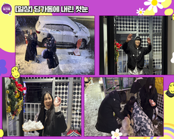 [일상]딩가동에 내린 첫눈