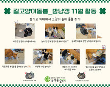 [2번지] 길고양이돌봄 동아리 11월 활동