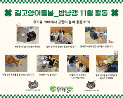 [2번지] 길고양이돌봄 동아리 11월 활동