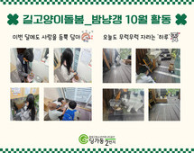 [2번지] 길고양이돌봄 동아리 10월 활동