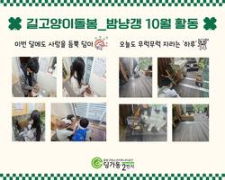 [2번지] 길고양이돌봄 동아리 10월 활동